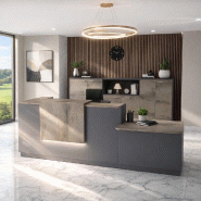 Comptoir d'accueil bi-colore avec PMR Delta et réhausse - Droite, Non, Anthracite, 262, Chêne grisé_5