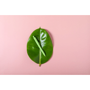 Stylo à bille écologique - plastique paille de blé - encre bleue - couleur verte_5