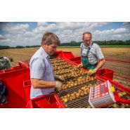 Arracheuse Grimme avec système Clean Control et optimisation des paramètres