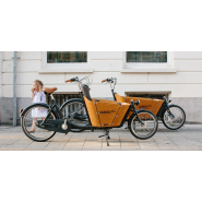 Biporteur électrique Babboe Mini-E - ultra maniable, coffre compact, 7 vitesses, freins hydrauliques_5