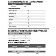 Ct-1770 50 Hz triphasé - Groupe électrogène en container Inmesol - 1.770,0 kVA avec moteur MTU et alternateur Stamford_5