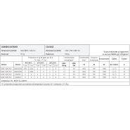 Machine à glace écailles avec tableau électrique IP 41 et contrôle de rotation