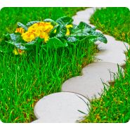 Bordure de pelouse bio_5