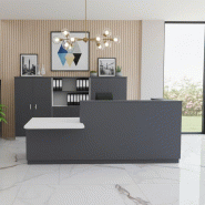 Bureau d'accueil mixte avec PMR Delta Plus - Mobel Linea - Gauche, Anthracite, 262_0