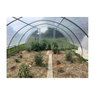 Serre de jardin avec aérations latérales et pieds droits de  0,50 m de haut - GOTHIQUE_6