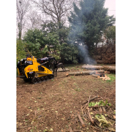 Ranger t300 elagage grappin a grumes_5