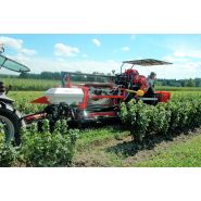Récolteuse pour jeunes arbustes d'aronia