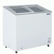 Congélateur coffre vitré Série G 200L GM498 Polar_5