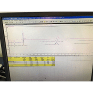 Chromatographie ionique reconditionnée - pompe isocratique DX120 - Référence P20040530_5