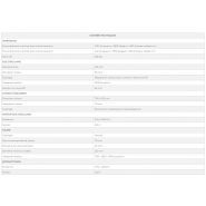 TSI - Scie à format DM Italia SRL - 2 moteurs indépendants - Poids net 260 kg - DMCI300_5