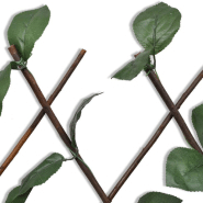 Vidaxl clôture en treillis de saule 5 pcs 180x90 cm 140913_5