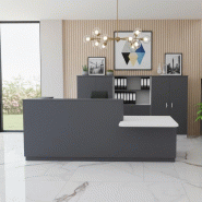 Bureau d'accueil mixte avec PMR Delta Plus - Mobel Linea - Droite, Anthracite_0