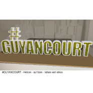 Lettres et/ou logo en polystyrène 3D et lichen scandinave - rose_0