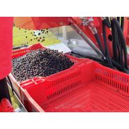 Équipement agricole pour récolter groseilles rouges et jaunes