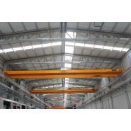 Grues avec ponts roulants double et unique poutres avec une capacité de charge de 1 à 63 tonnes - BVS_5