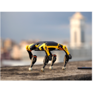 KIT ROBOT CHIEN MINI STEM LOISIR OPEN SOURCE BITTLE PETOI OPENCAT À MONTER ET À PROGRAMMER_5