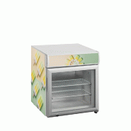 Congélateur table top statique L.570mm 48L TEFCOLD_5