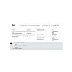 Groupe électrogène industriel triphasé GTW-1025 T6 - 1166 kVA - 60 Hz - moteur Mitsubishi - alternateur Stamford