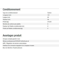 Diesel 6500 ta silence avr c5 groupe électrogène - kohler - puissance max (kw) 5.20