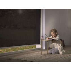 Volet roulant solaire à toile ajourée compact, design et résistant - ID-ZIP - BUBENDORFF