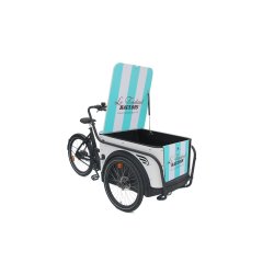 Triporteur électrique Urban Rider Pro - Moteur BAFANG Max M400 - Caisse HDPE 100 kg