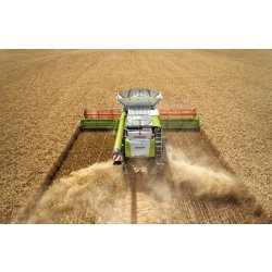 Moissonneuse-batteuse CLAAS Lexion 780-740 - Trémie 12800L - APS Hybrid System