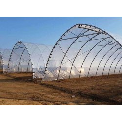 Serre à travée unique  idéale pour les agriculteurs et les amateurs - Tunnelart