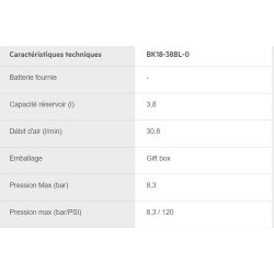 Compresseur Dual Brushless 18V BK18-38BL - AEG - Réservoir 3,8 L - Pompe sans huile - Régulateur précis