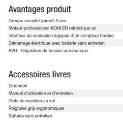 Technic 6500 E AVR - Groupe électrogène Kohler - Puissance max 6,30 kW - Fréquence 50 Hz - Tension nominale 230 V