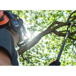 Élagueuse sur perche télescopique à batterie 50,4 v 25 cm – ECHO – avec 2 batteries 2,5ah et chargeur – dppt-2600lw/c1