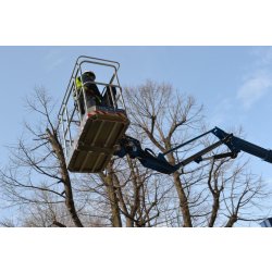 Zed 23.3 jh camion nacelle - cte - 22,6 m