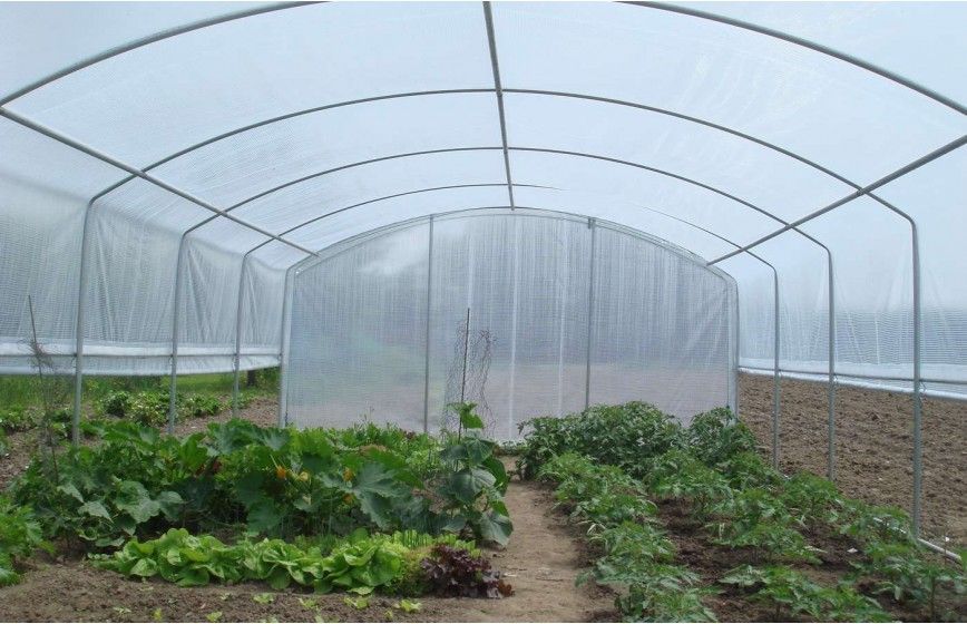 Serre de jardin 4 mètres de large pour un accès plus facile à vos cultures  - 4 SAISONS PLUS_7