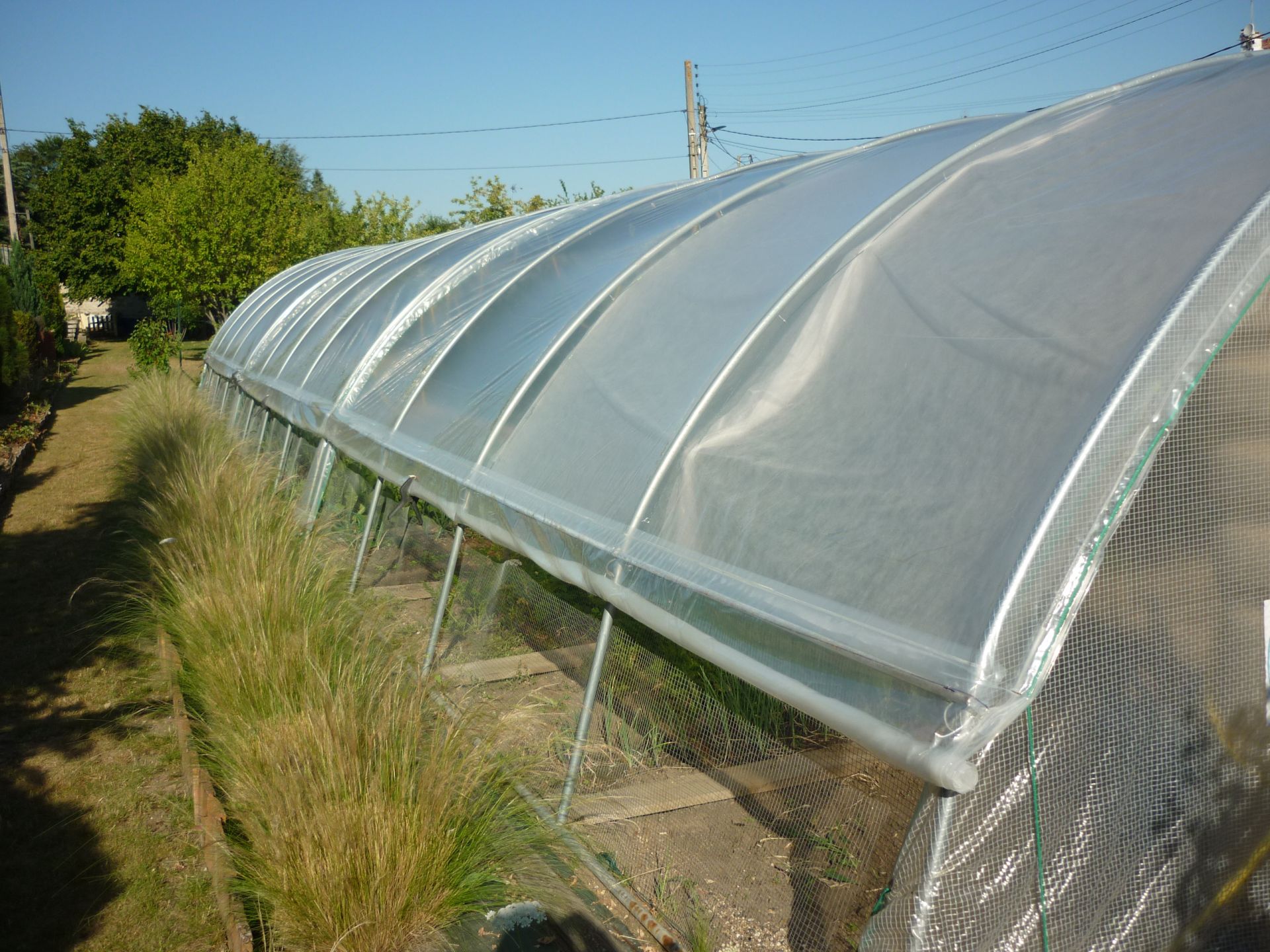 Serre horticole par excellence - BRETAGNE_6