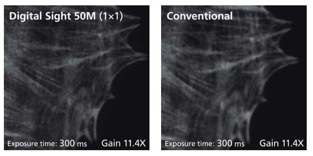 Système d'imagerie Nikon pour capture et analyse d'images de haute précision en laboratoire