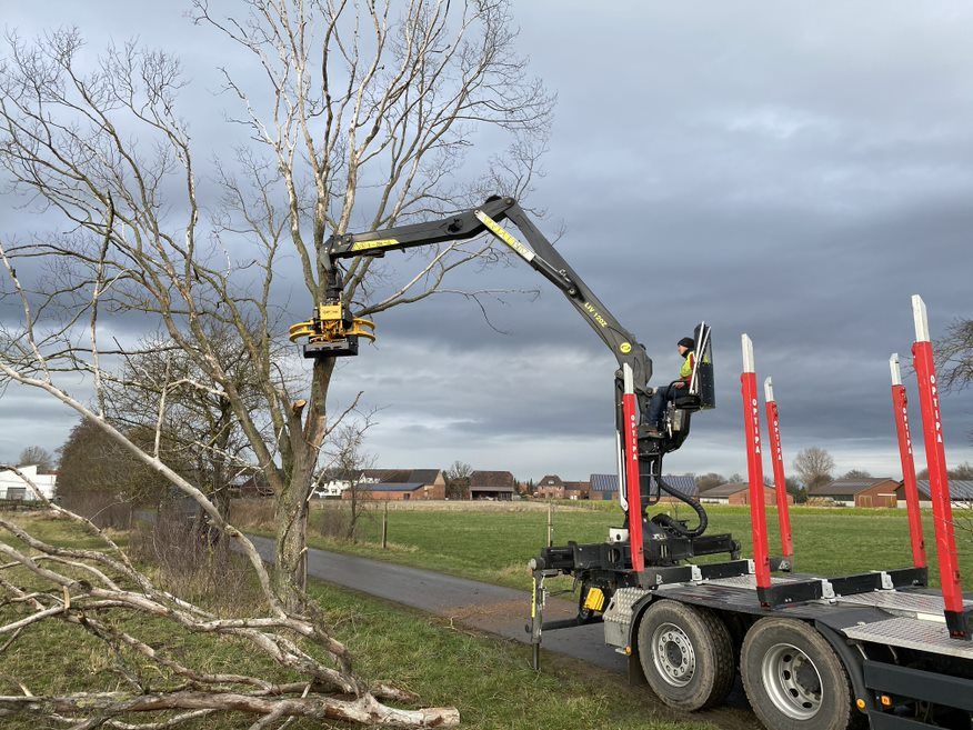 Outil forestier pour coupe de troncs jusqu'à 500 mm