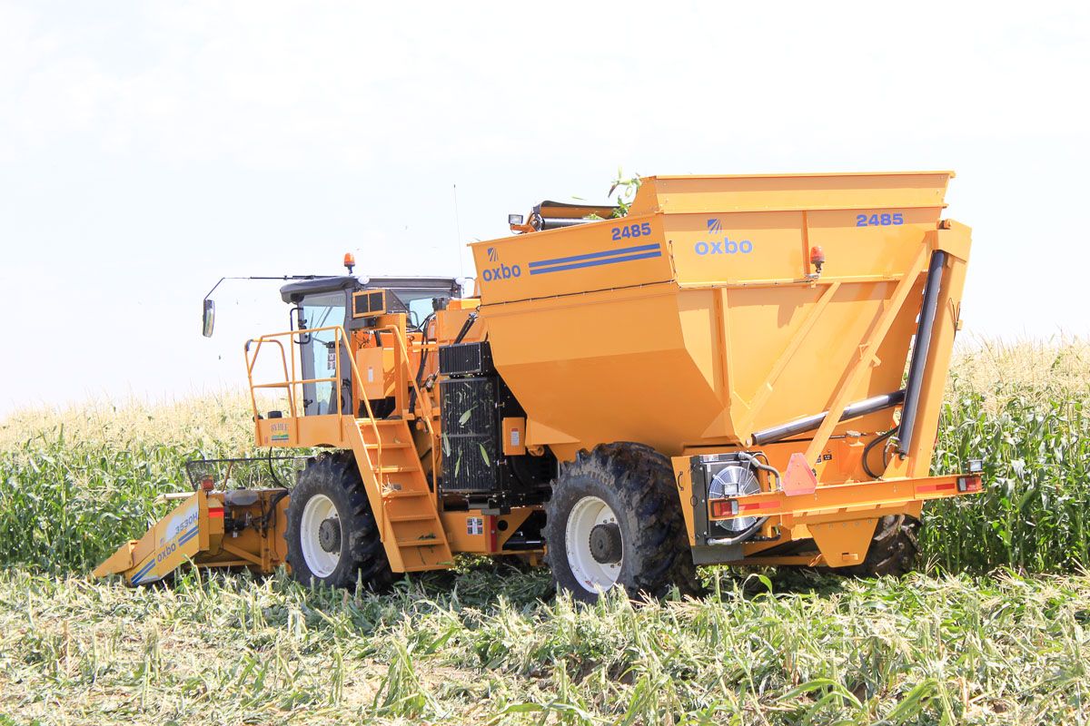 Arracheuse oxbo 2485 - oxbocorp - longueur sans tête 8.84 m - largeur 3.5 m_6