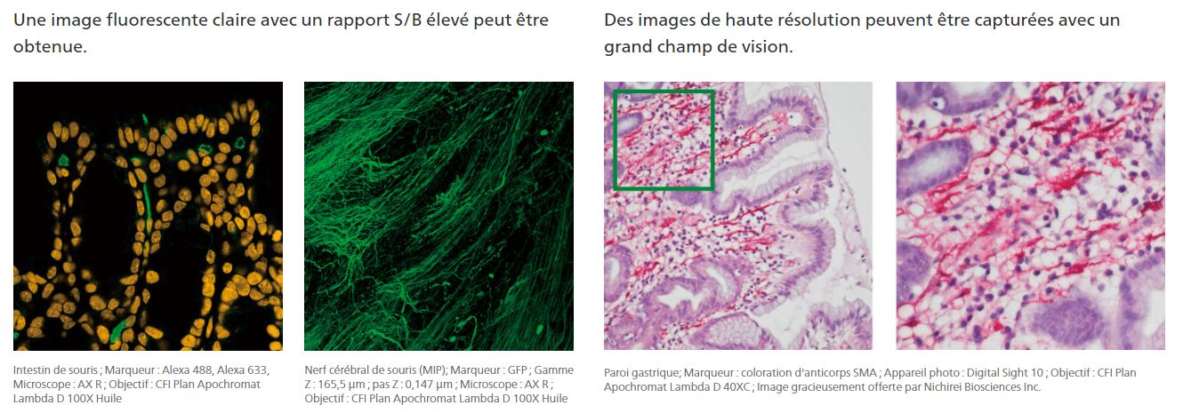 Objectifs : série cfi plan apochromat lambda d_6