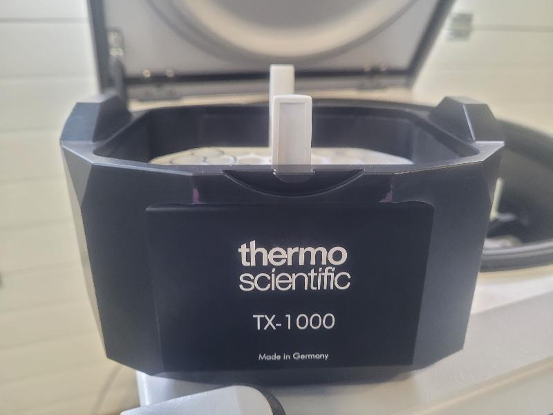 Centrifugeuse réfrigérée THERMO FISHER SCIENTIFIC Megafuge ST4RF Plus avec rotor TX-1000_6