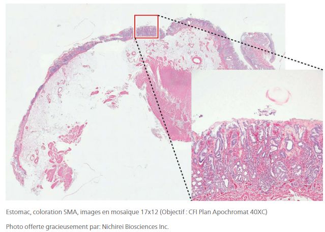 Digital Sight 10 - Caméra Nikon avec capteur CMOS FX, résolution 6K et haute sensibilité_7