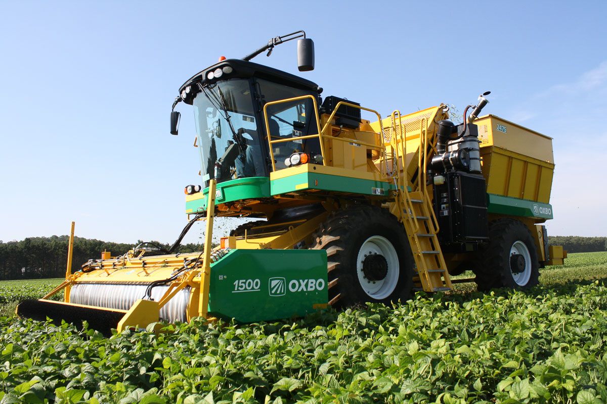 Arracheuse oxbo 2475 - oxbocorp - longueur sans tête 9.2 m - largeur 3.43 m_6