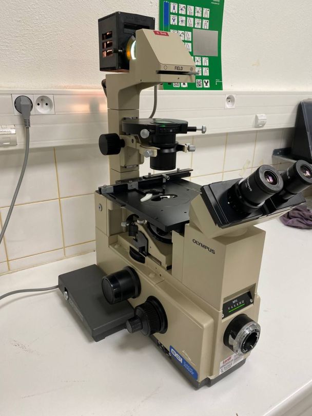 Microscope de laboratoire d'occasion -  imt-2 olympus_6