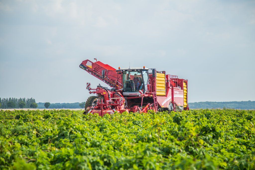 Récolteuse à 2 rangs avec table de visite et plateforme de triage ergonomique