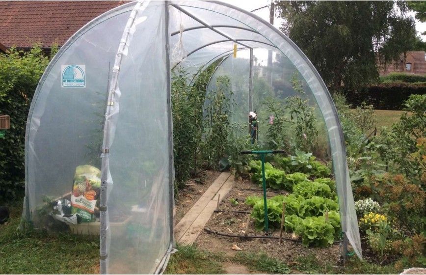 Serre de jardin simple, fonctionnelle et pratique pour tous les jardins en gardant une hauteur conséquente- ESSENTIELLE_6