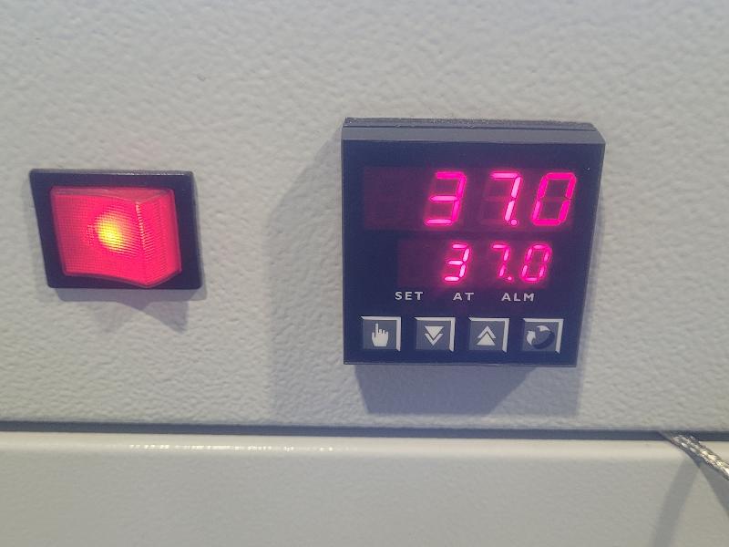 Etuve / incubateur fisher scientific fisherbrand diemos abv 175 / 80 ° c avec convection forcée_6