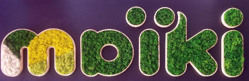 Lettres et mots en polystyrène - Peint sur toutes les faces (Fabrication en 7 jours ouvrés + Livraison), Vert Clair_6