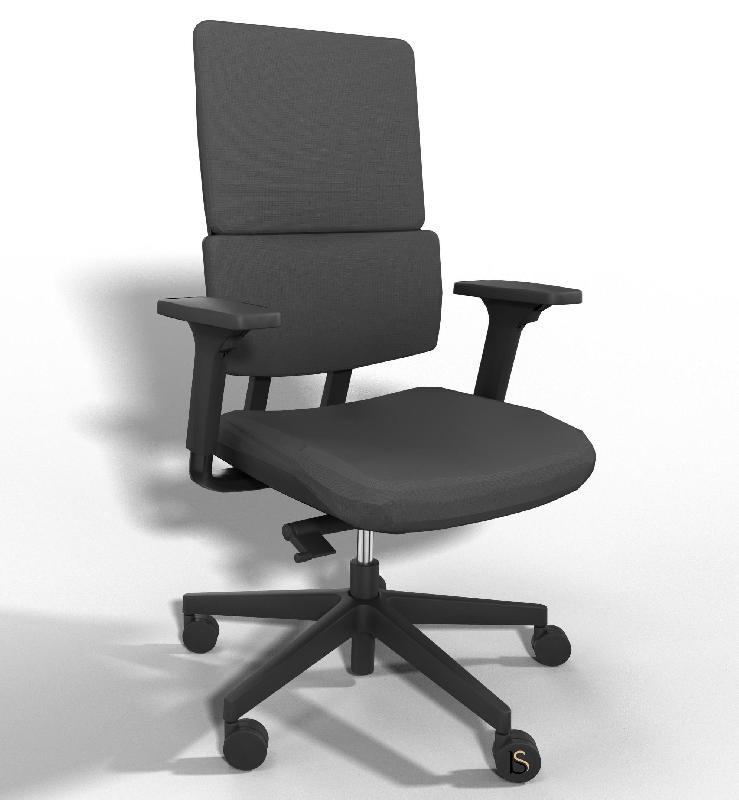Siège de bureau Wi max avec renfort lombaires - Sokoa - Gris, Réglable 3D, Non, Sol dur_6