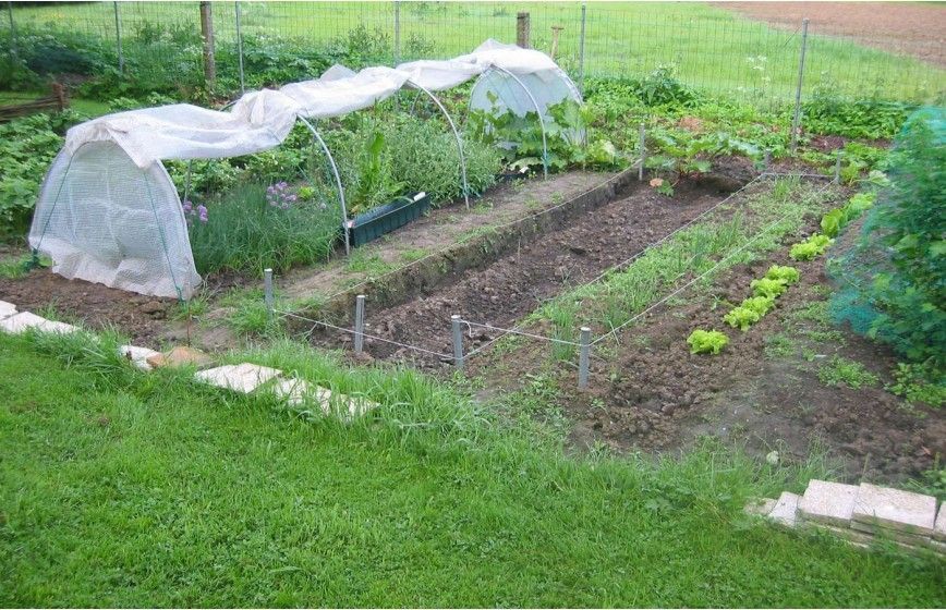 Tunnel de forçage idéal pour la protection de vos cultures hâtives de printemps et vos plantations d'automne_6