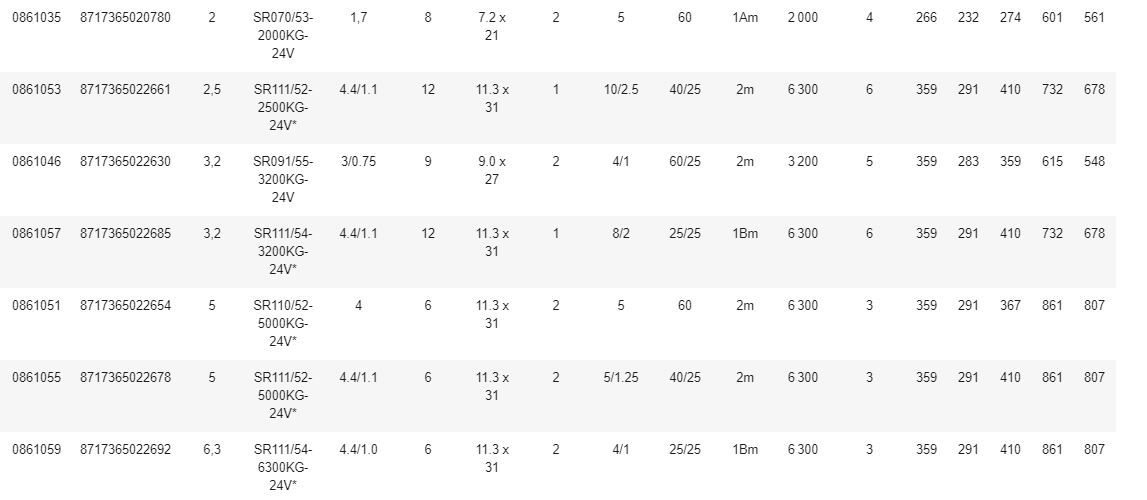 Palan électrique à chaîne REMA série SR - 3 m de levée - haute performance et sécurité - Rema Holland B.V._6