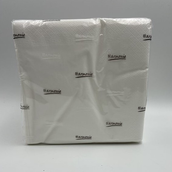 SERVIETTES ouate 2PLIS 40x40 paquet de 100_6