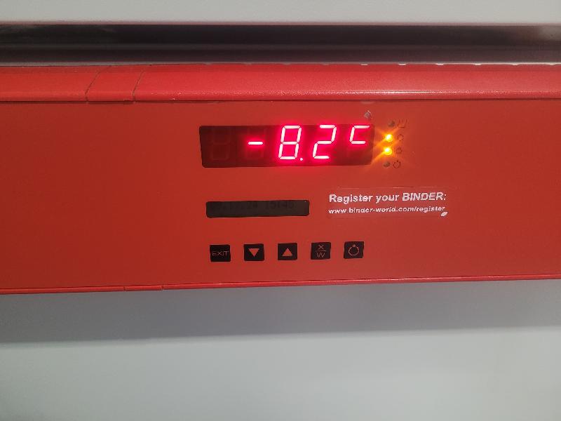 Incubateur / étuve réfrigéré BINDER KB-115 avec convection forcée 100°C_6